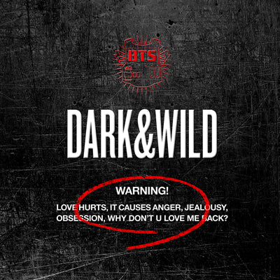 bts-1st-album-dark-and-wild-biasline